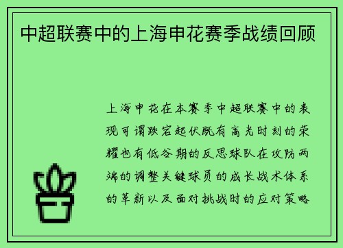 中超联赛中的上海申花赛季战绩回顾