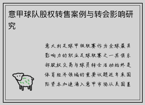 意甲球队股权转售案例与转会影响研究
